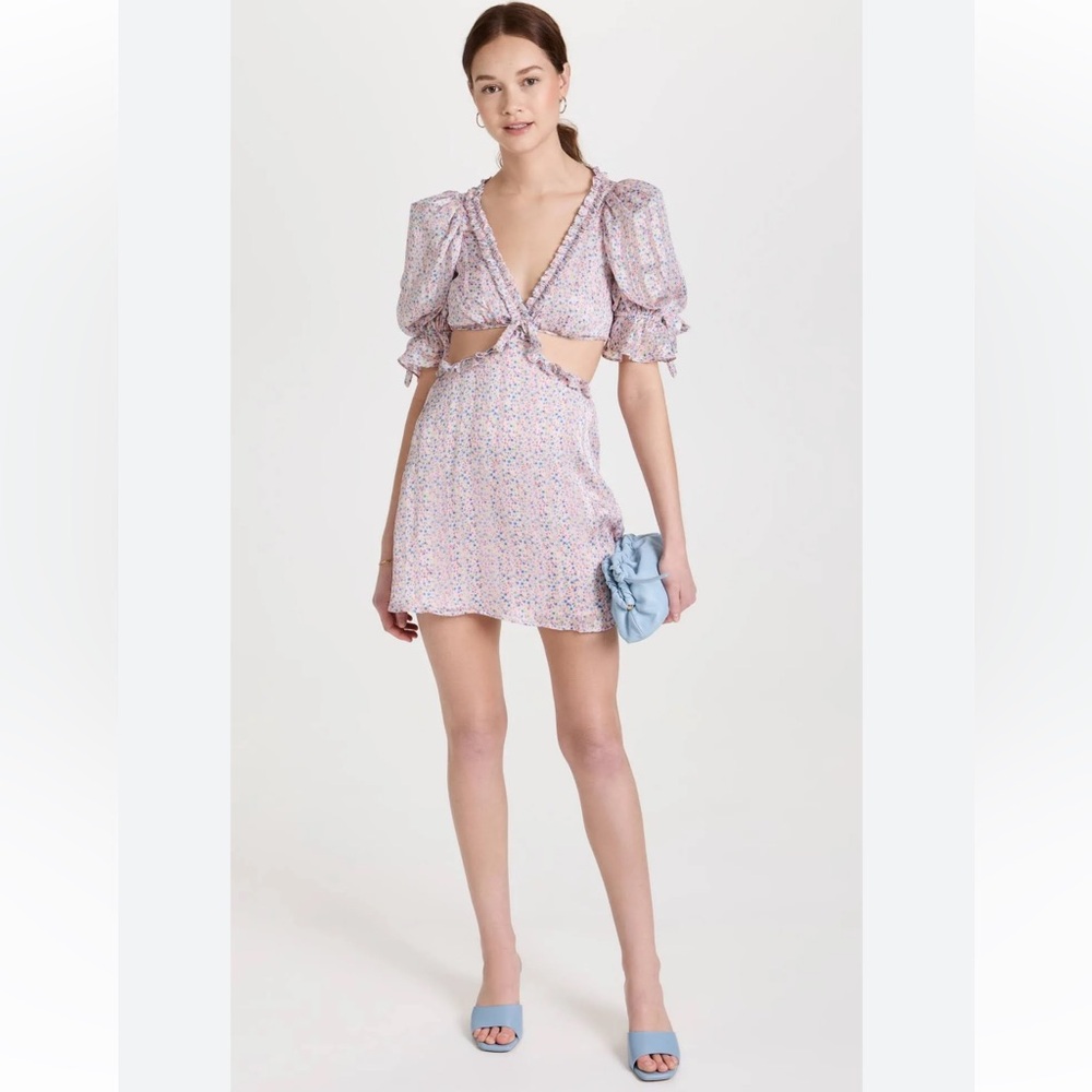 NWT PHOEBE FLORAL-PRINT CUTOUT SATIN CHIFFON MINI DRESS - Picture 3 of 5